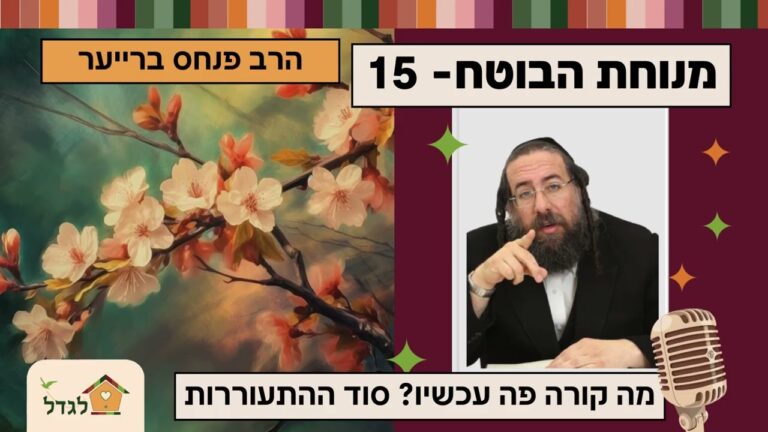 מנוחת הבוטח 15 מה קורה פה עכשיו? סוד התעוררות במלחמה